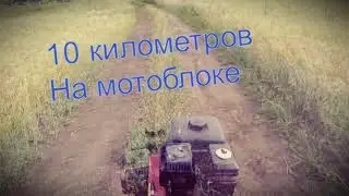 Берем Берлин на мотоблоке - поездка в лес после дождя.