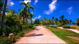 Caminando por zona tropical costera con música relajante! Walking with relax music!