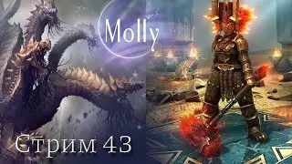Molly Стрим 43 Путь героя  Raid: Shadow Legends
