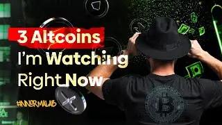 How I Decide to Buy Altcoins & Binance Traders League