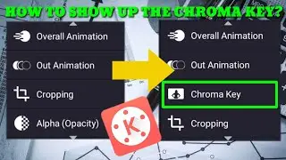 Chroma Key is not showing in Kinemaster