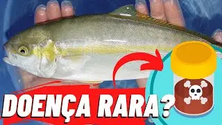 COMO É A DOENÇA DE HAFF? A DOENÇA DA URINA PRETA!