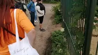 Мясо верхом на коте) В гостях в Доме тигра