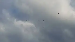 31 05 2023 года похолодало и подул ветер