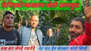 Aagarwood Nepal🇳🇵 || Episode - 4🌳 || पहिलाे वृष्य रोपण अगर Gulmi🌱 || बिरुवा उत्पादन || DilipBhandari