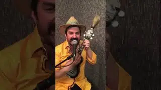 EL BURRITO SABANERO