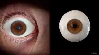 High-Quality Capture of Eyes