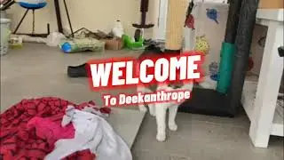 Deekanthrope Intro