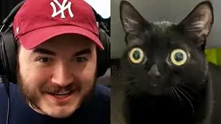 How Schlatt got a CAT cancelled