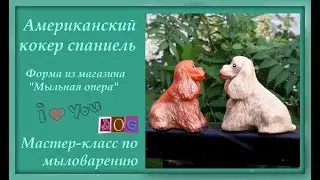 Американский кокер спаниель. Мастер-класс по мыловарению