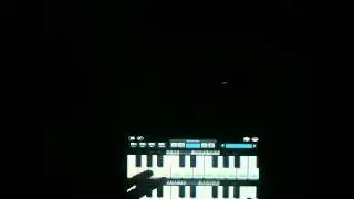Keyboard Cat