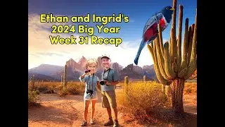 Ethan and Ingrid's 2024 Big Year (Week 31)