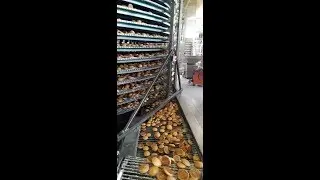 Спиральный транспортер для охлаждения глазированного пряника