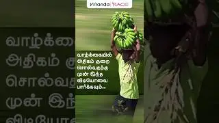 நேற்றைய வாழை தொழிலாளி நாளைய அரசு அதிகாரிபாலமாக நாங்கள்...🤝