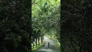 Electric biking is not just about the physical journey but also about a deep connection with nature.