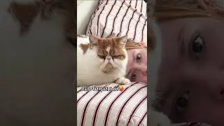 аххахахааха