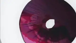 Amv Kny