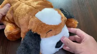Snuggle Puppy Heartbeat Stuffed Toy for Dogs - Silent Unboxing