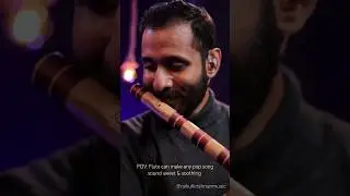 With You on flute sounds so sweet🥹 #apdhillon #withyou #flute #music #banitasandhu