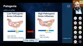 Webinar 65 I Medidas de control para afrontar y prevenir la influenza aviar en granjas comerciales