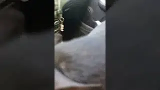 Ричик моет машину. Собака Говоряка