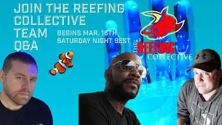 Q&A, ask away include giveaways, and announce the winner of the Gold Hammer from Fancy Clownfish.