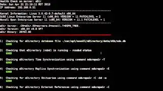 NDSD Health Check Script