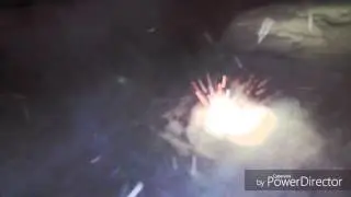Огненный жук
