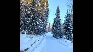 Никто не знает...автор Вячеслав Урюпин