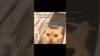 мем из ТикТока 