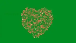 green screen wedding 4 || Free Best Green Screen Effects