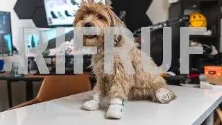 RIF RUF CESAR 1 KK9R (SNEAKERS FOR MY DOG!) -Unboxing