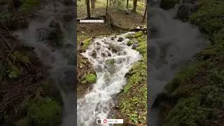 relex water sound❤️