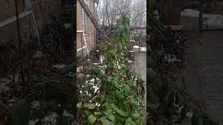 Слушайте себя и занимайтесь собой