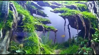 aquascape relaxing video