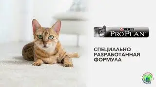Purina Pro Plan Delicate для кошек