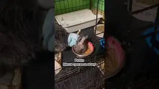 Вот как то так, операция успешная. 