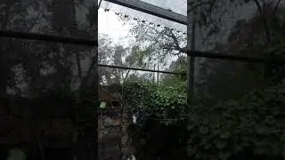 Первый дождь