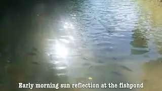 Wow. Amazing sun reflection