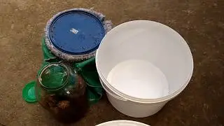Інкубатор для воскової молі своїми руками