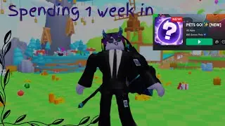 Spending 1 week in pet go…..
