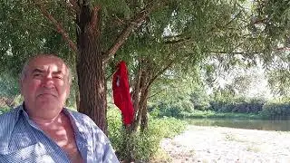 Жили были псы. Пока не сдохли