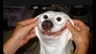 Музыкальный Тест На Психику