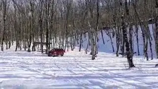 Driver in snow