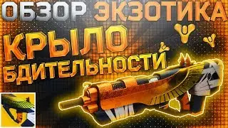 Destiny 2 Обзор оружия Крыло бдительности