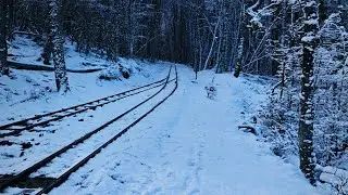 Paseo por el tren del Fin del Mundo