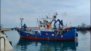Un día de pesca en el barco Tuku-Tuku de Hondarribia: Anchoa del Cantábrico