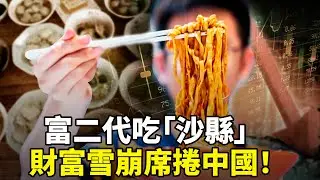 四中全會有幾種劇本？改朝換代前奏？財富雪崩席捲中國！億萬富二代勒緊褲帶，御用專家驚曝臨界警訊！