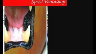 Speed Photoshop Corel Photo Paint