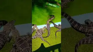 Gator Spot! #themepark #funspot #amusementpark #animals #alligator #shorts #attraction #oldtownroad